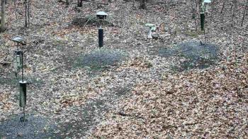 Weather camera view of Cincinnati Nature Center.