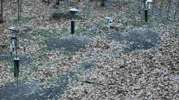 Weather camera view of Cincinnati Nature Center.