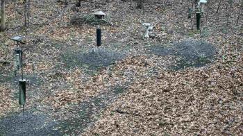 Weather camera view of Cincinnati Nature Center.