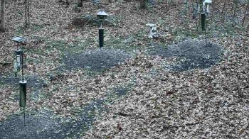 Weather camera view of Cincinnati Nature Center.