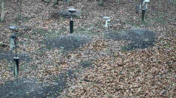 Weather camera view of Cincinnati Nature Center.