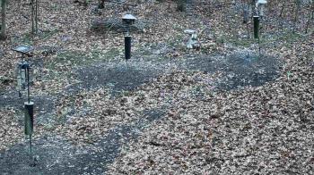 Weather camera view of Cincinnati Nature Center.