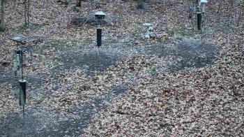 Weather camera view of Cincinnati Nature Center.