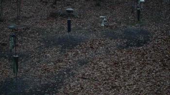 Weather camera view of Cincinnati Nature Center.