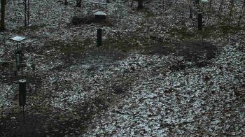 Weather camera view of Cincinnati Nature Center.