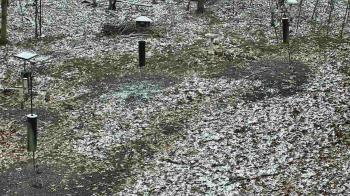 Weather camera view of Cincinnati Nature Center.