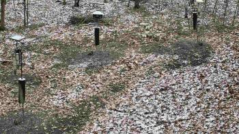 Weather camera view of Cincinnati Nature Center.