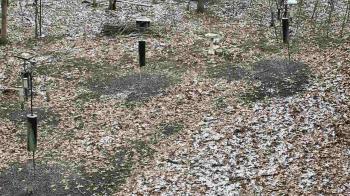 Weather camera view of Cincinnati Nature Center.