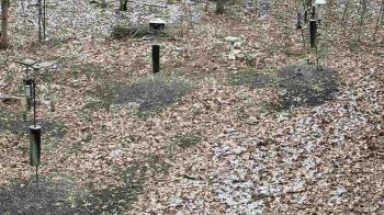 Weather camera view of Cincinnati Nature Center.