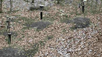 Weather camera view of Cincinnati Nature Center.