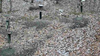 Weather camera view of Cincinnati Nature Center.