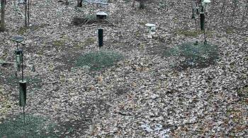 Weather camera view of Cincinnati Nature Center.
