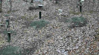 Weather camera view of Cincinnati Nature Center.