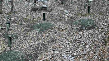 Weather camera view of Cincinnati Nature Center.