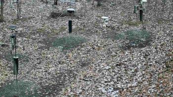 Weather camera view of Cincinnati Nature Center.