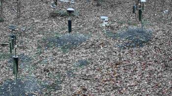 Weather camera view of Cincinnati Nature Center.