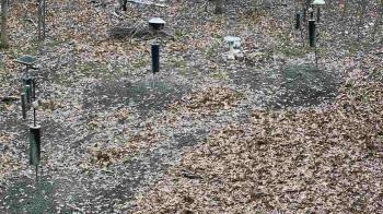 Weather camera view of Cincinnati Nature Center.