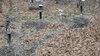 Weather camera view of Cincinnati Nature Center.