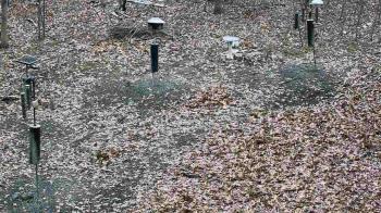 Weather camera view of Cincinnati Nature Center.