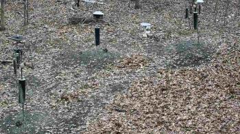 Weather camera view of Cincinnati Nature Center.