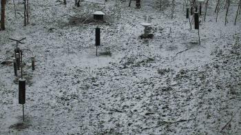 Weather camera view of Cincinnati Nature Center.