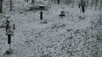 Weather camera view of Cincinnati Nature Center.
