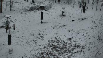 Weather camera view of Cincinnati Nature Center.