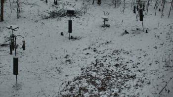 Weather camera view of Cincinnati Nature Center.