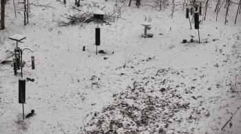 Weather camera view of Cincinnati Nature Center.