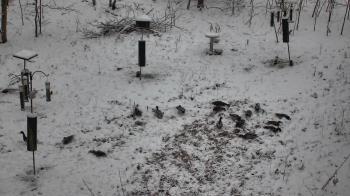 Weather camera view of Cincinnati Nature Center.