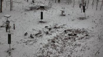 Weather camera view of Cincinnati Nature Center.