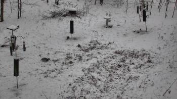 Weather camera view of Cincinnati Nature Center.