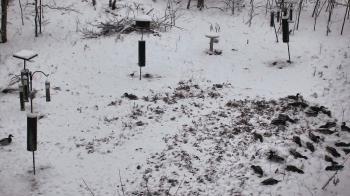 Weather camera view of Cincinnati Nature Center.