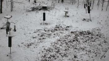 Weather camera view of Cincinnati Nature Center.
