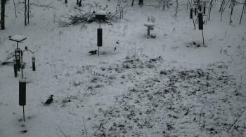 Weather camera view of Cincinnati Nature Center.
