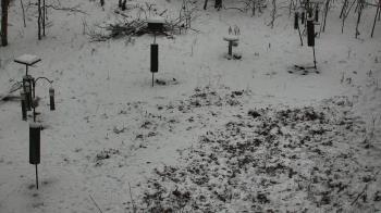 Weather camera view of Cincinnati Nature Center.