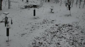 Weather camera view of Cincinnati Nature Center.