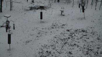 Weather camera view of Cincinnati Nature Center.