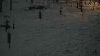 Weather camera view of Cincinnati Nature Center.