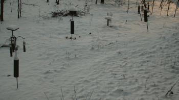 Weather camera view of Cincinnati Nature Center.