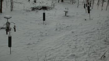 Weather camera view of Cincinnati Nature Center.