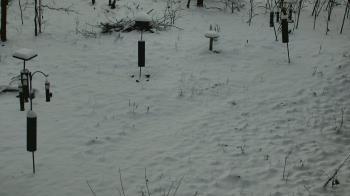 Weather camera view of Cincinnati Nature Center.