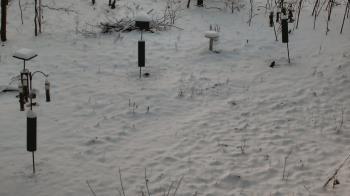 Weather camera view of Cincinnati Nature Center.