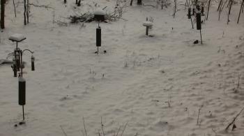 Weather camera view of Cincinnati Nature Center.
