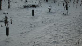 Weather camera view of Cincinnati Nature Center.