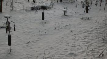 Weather camera view of Cincinnati Nature Center.