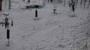Weather camera view of Cincinnati Nature Center.