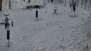 Weather camera view of Cincinnati Nature Center.