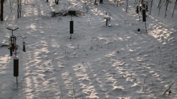 Weather camera view of Cincinnati Nature Center.