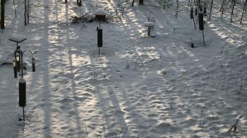 Weather camera view of Cincinnati Nature Center.